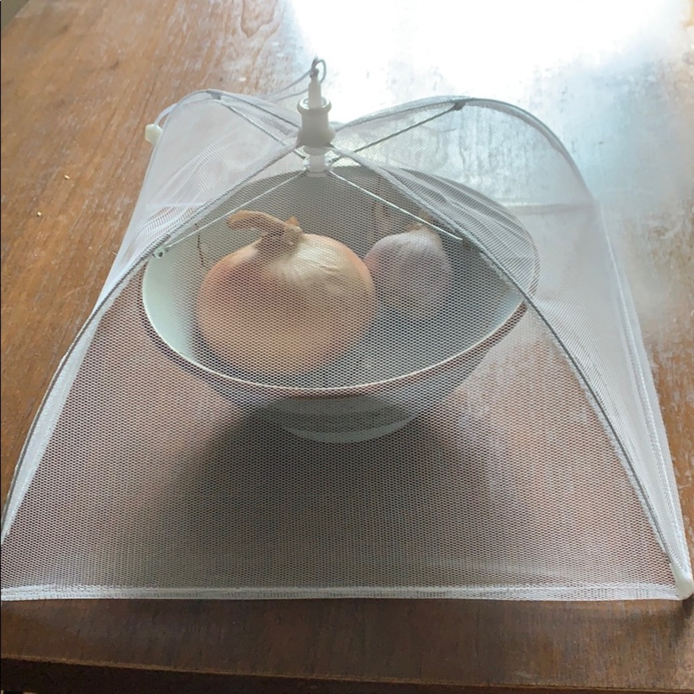 Crate&Barrel netted collapsible food covers